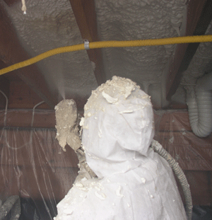  RI crawl space insulation